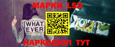 mdpv Малоярославец
