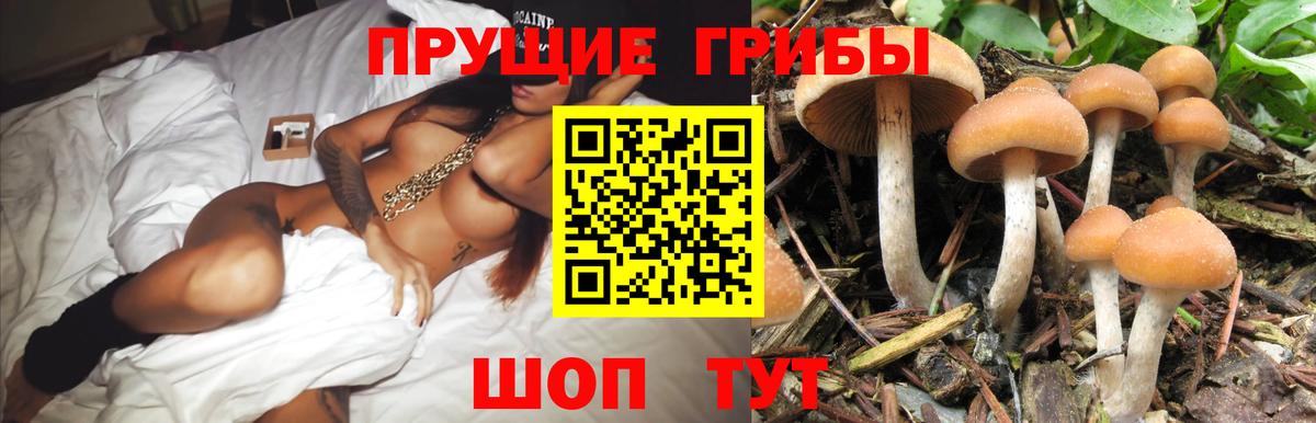 Галлюциногенные грибы Magic Shrooms Ивантеевка