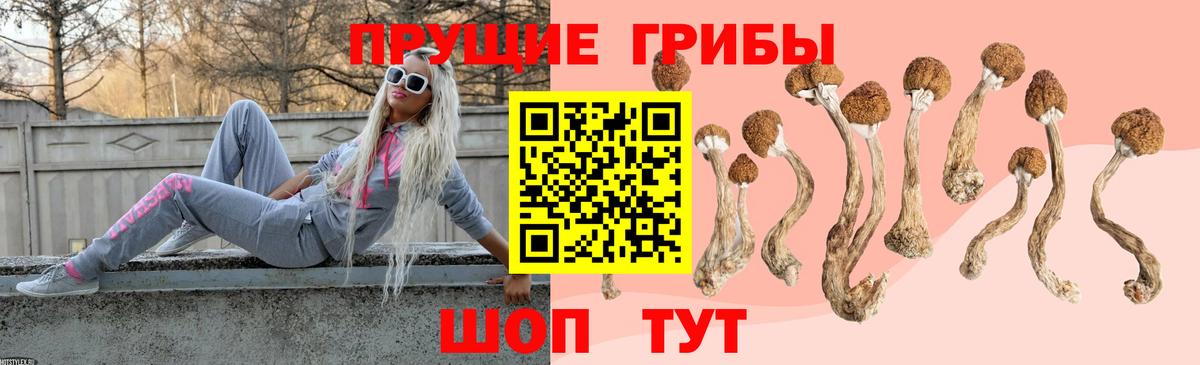 Псилоцибиновые грибы Psilocybe  Галлюциногенные грибы Psilocybe  Вход с VPN  Ивантеевка 